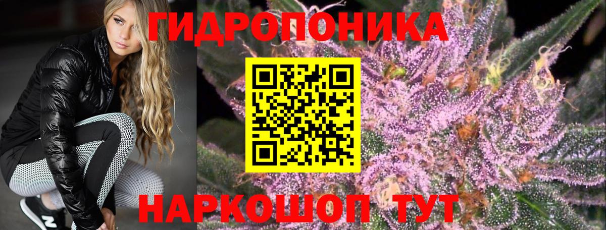 Канабис VHQ  Канабис гибрид  Канабис конопля  Ухта  Вход с VPN 