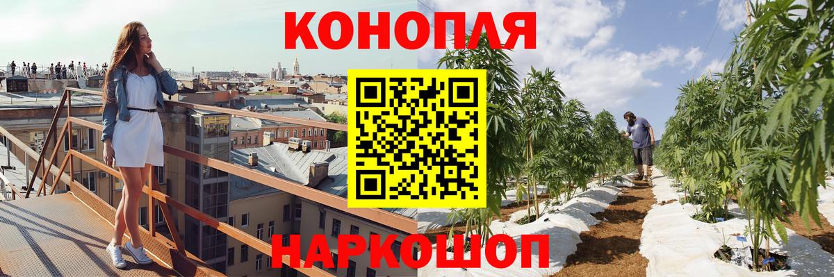 Каннабис конопля Ухта